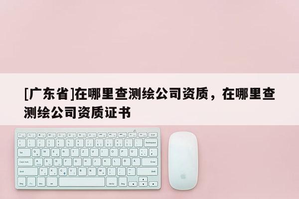 [广东省]在哪里查测绘公司资质，在哪里查测绘公司资质证书
