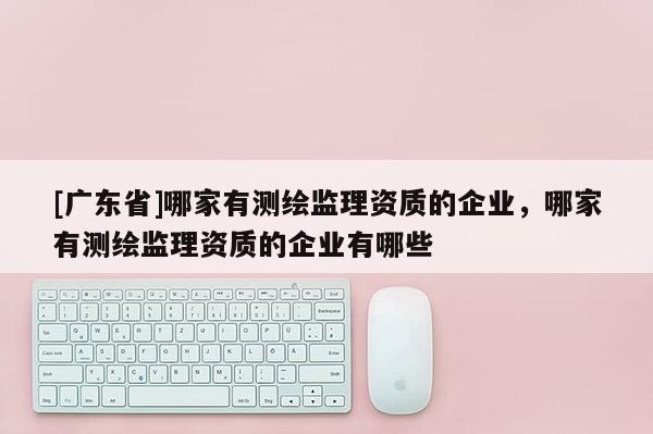 [广东省]哪家有测绘监理资质的企业，哪家有测绘监理资质的企业有哪些