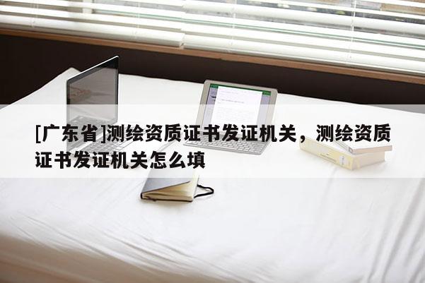 [广东省]测绘资质证书发证机关，测绘资质证书发证机关怎么填