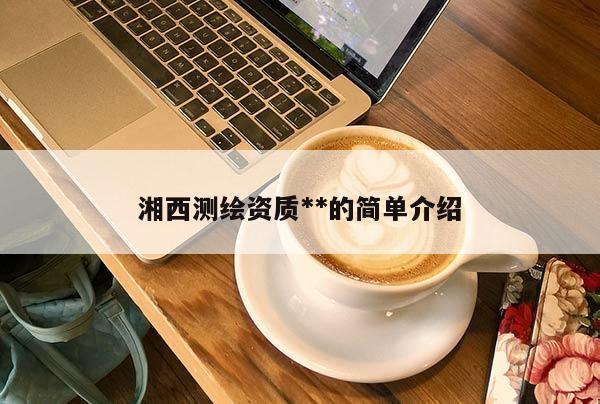 湘西测绘资质**的简单介绍