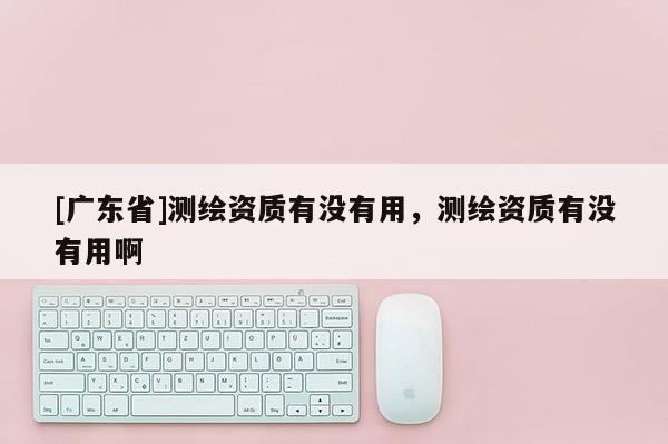 [广东省]测绘资质有没有用，测绘资质有没有用啊