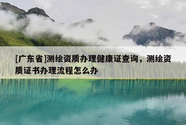 [广东省]测绘资质办理健康证查询，测绘资质证书办理流程怎么办