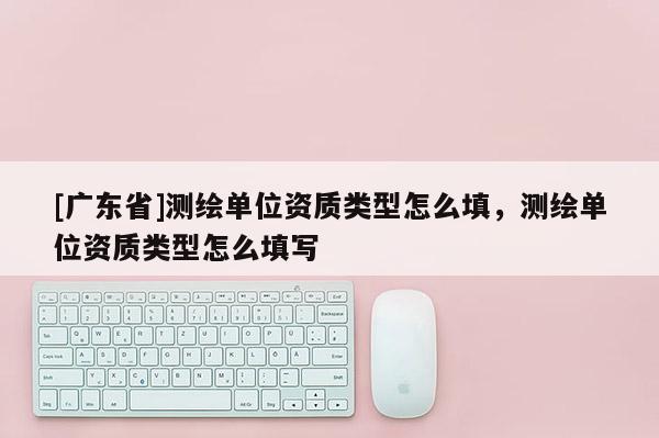 [广东省]测绘单位资质类型怎么填，测绘单位资质类型怎么填写