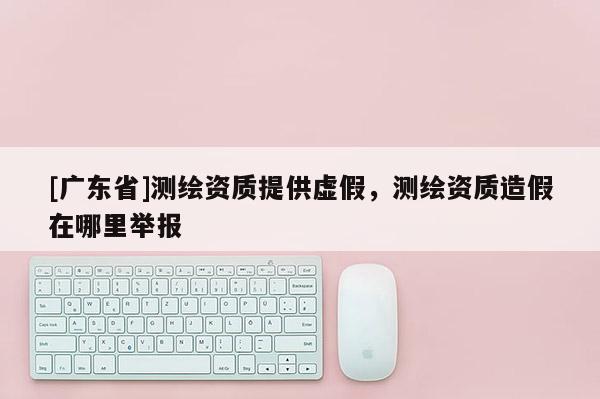 [广东省]测绘资质提供虚假，测绘资质造假在哪里举报