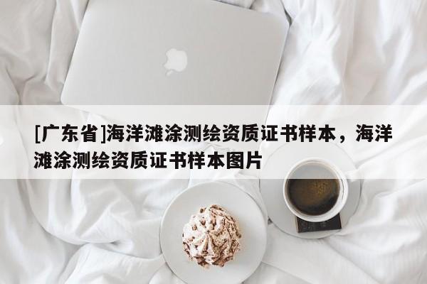 [广东省]海洋滩涂测绘资质证书样本，海洋滩涂测绘资质证书样本图片