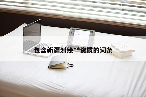 包含新疆测绘**资质的词条