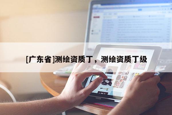 [广东省]测绘资质丁，测绘资质丁级