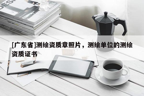 [广东省]测绘资质章照片，测绘单位的测绘资质证书
