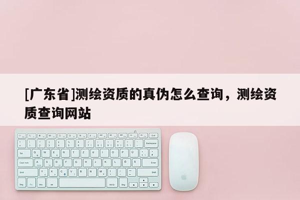 [广东省]测绘资质的真伪怎么查询，测绘资质查询网站