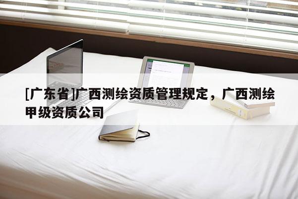 [广东省]广西测绘资质管理规定，广西测绘甲级资质公司
