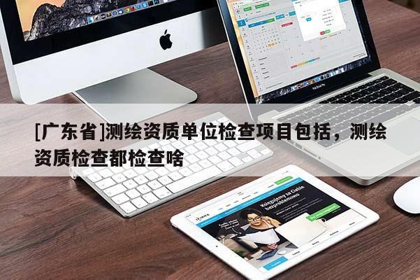 [广东省]测绘资质单位检查项目包括，测绘资质检查都检查啥