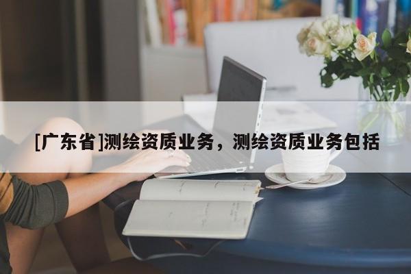 [广东省]测绘资质业务，测绘资质业务包括