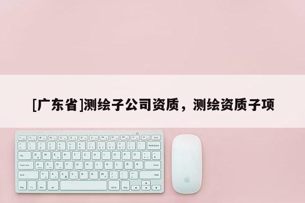 [广东省]测绘子公司资质，测绘资质子项