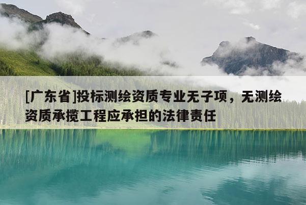 [广东省]投标测绘资质专业无子项，无测绘资质承揽工程应承担的法律责任