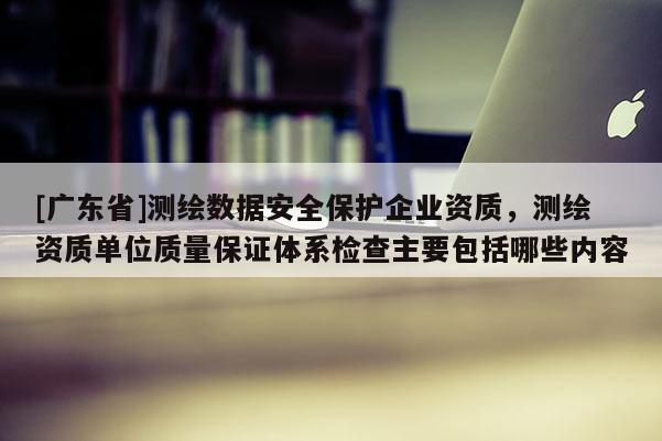 [广东省]测绘数据安全保护企业资质，测绘资质单位质量保证体系检查主要包括哪些内容