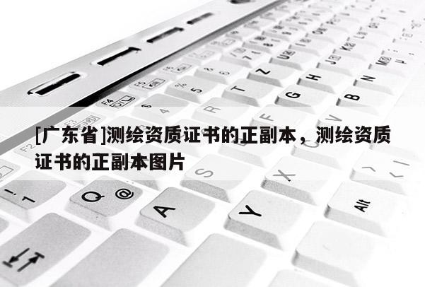 [广东省]测绘资质证书的正副本，测绘资质证书的正副本图片