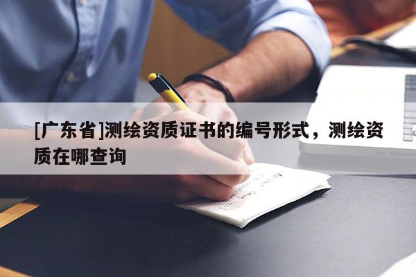 [广东省]测绘资质证书的编号形式，测绘资质在哪查询