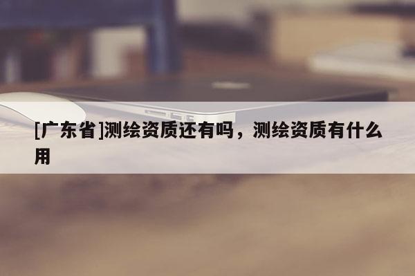 [广东省]测绘资质还有吗，测绘资质有什么用