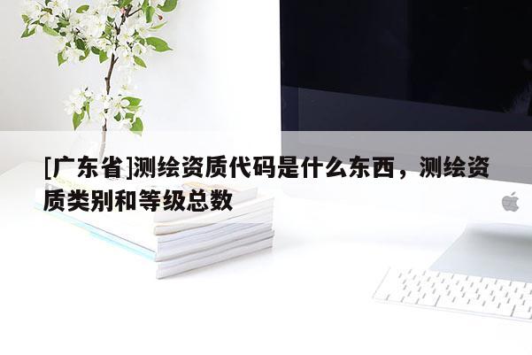 [广东省]测绘资质代码是什么东西，测绘资质类别和等级总数