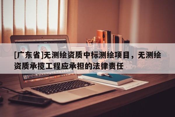 [广东省]无测绘资质中标测绘项目，无测绘资质承揽工程应承担的法律责任
