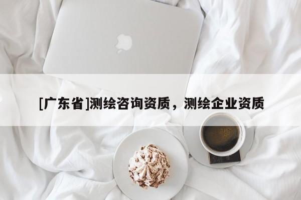 [广东省]测绘咨询资质，测绘企业资质