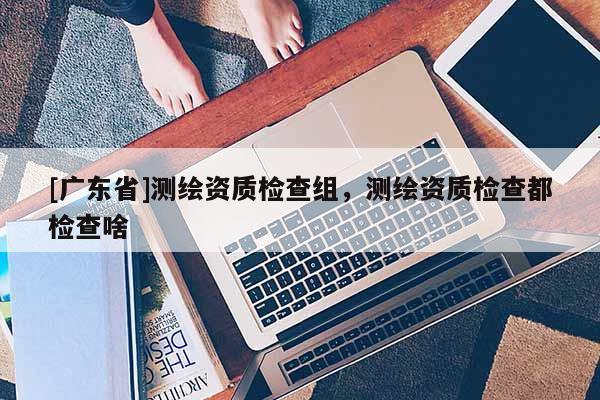 [广东省]测绘资质检查组，测绘资质检查都检查啥