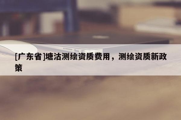 [广东省]塘沽测绘资质费用，测绘资质新政策