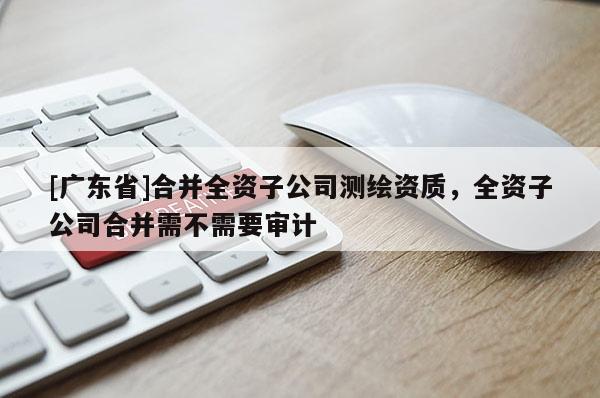 [广东省]合并全资子公司测绘资质，全资子公司合并需不需要审计